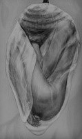 forme