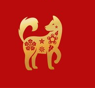 chien