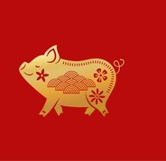 cochon