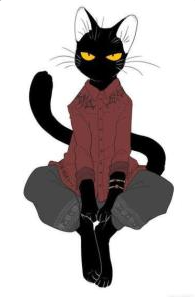 Gato Fernando