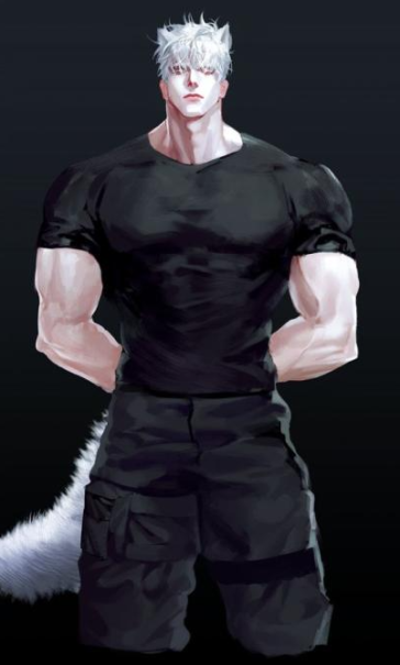 Nikolaï Volkov Nikolaï Volkov